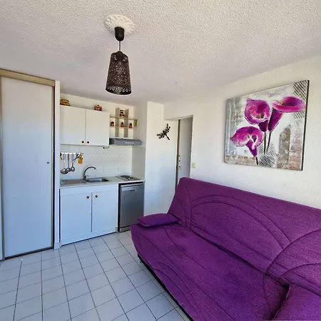 Lejlighed 2 Pieces Avec Piscine, Parking Prive Et Acces Direct A La - Fr-1-387-50 Marseillan (Herault)