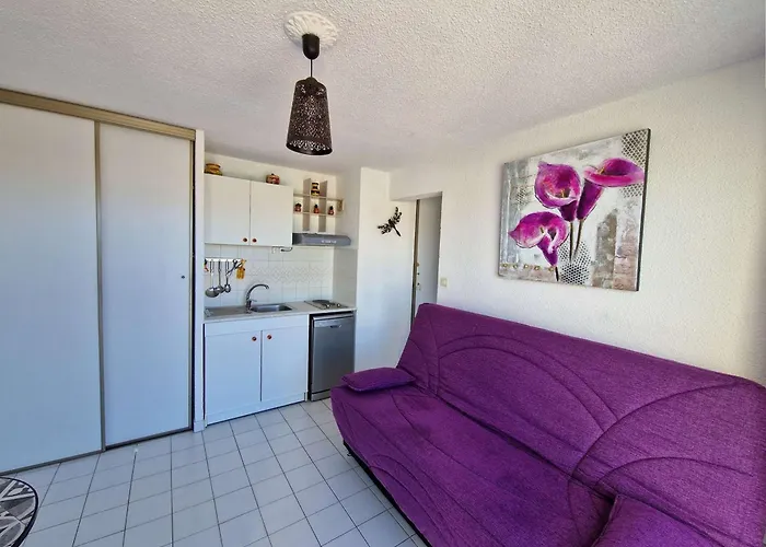 Apartment 2 Pieces Avec Piscine, Parking Prive Et Acces Direct A La - Fr-1-387-50 Marseillan (Herault)